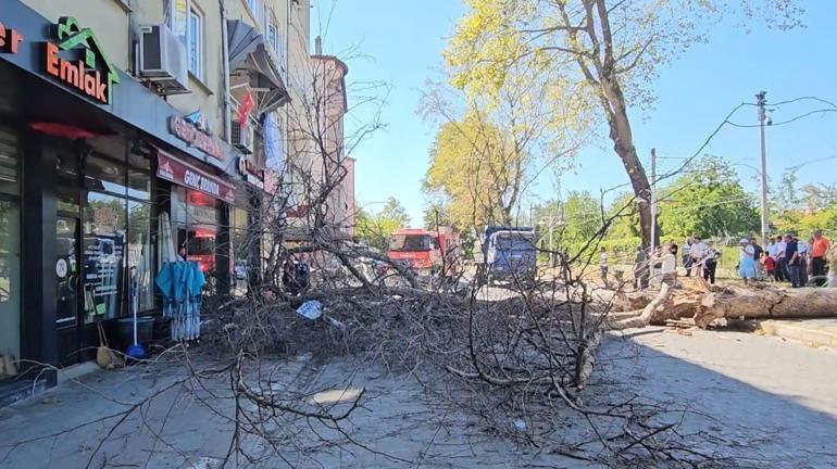 Asırlık çınar ağacı apartmanın üzerine devrildi 3 asirlik cinar agaci apartmanin uzerine devrildi 1 Y9X3QIDm