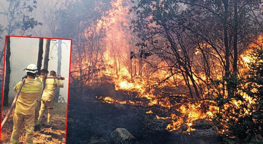 Ateşe daldılar dönemediler