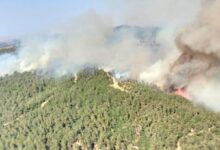 balikesirdeki orman yangini denetim altinda quECtusn