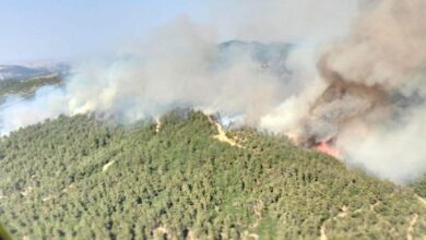 balikesirdeki orman yangini denetim altinda quECtusn