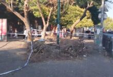 besiktasta siddetli ruzgar sonucu agac devrildi kaldirimda yuruyen 3 kisi yaralandi v8C9KBvS