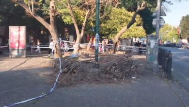 besiktasta siddetli ruzgar sonucu agac devrildi kaldirimda yuruyen 3 kisi yaralandi v8C9KBvS
