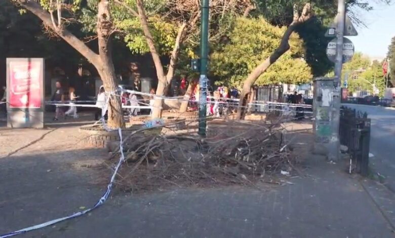 Beşiktaş'ta şiddetli rüzgar sonucu ağaç devrildi! Kaldırımda yürüyen 3 kişi yaralandı 1 besiktasta siddetli ruzgar sonucu agac devrildi kaldirimda yuruyen 3 kisi yaralandi v8C9KBvS