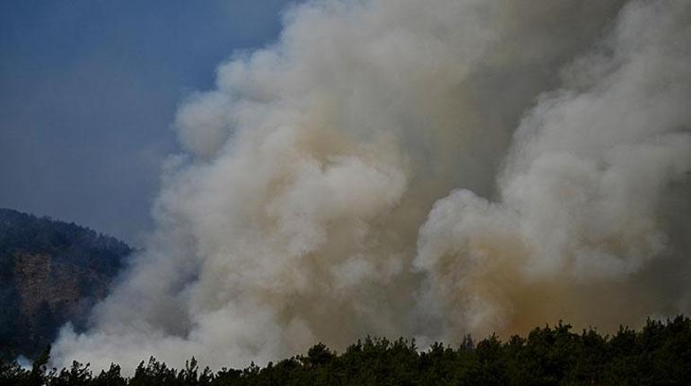 canli transfer son dakika yanginlarla ugrasta vilayet il son durum 5