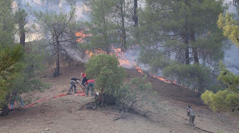 canli transfer son dakika yanginlarla ugrasta vilayet il son durum 6