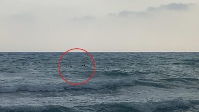 denizde can pazari yabanci asilli sahsin bogulma tehlikesi yasadigi anlar kamerada Yk84Dtsj