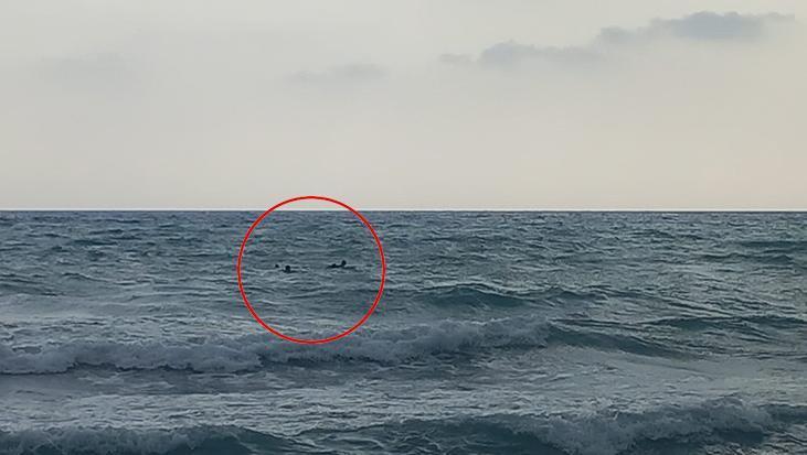 Denizde can pazarı! Yabancı asıllı şahsın boğulma tehlikesi yaşadığı anlar kamerada 1 denizde can pazari yabanci asilli sahsin bogulma tehlikesi yasadigi anlar kamerada Yk84Dtsj