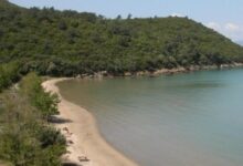 dilek yarimadasi buyuk menderes deltasi ulusal parki nerede nasil gidilir ziyaret rehberi ve giris 5n1GbRkH