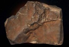 dunyada bulunan en buyuk mars meteoru rekor fiyata satilabilir x6fFRqU6