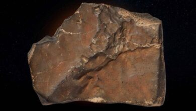 dunyada bulunan en buyuk mars meteoru rekor fiyata satilabilir x6fFRqU6