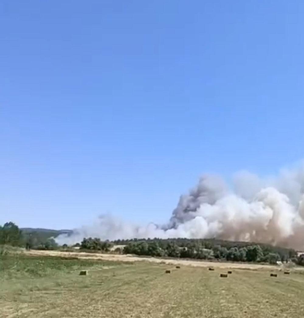 Edirne ve Balıkesir'de yangın! Havadan ve karadan müdahale ediliyor 5 edirne ve balikesirde yangin havadan ve karadan mudahale ediliyor 3 KSA7sePg