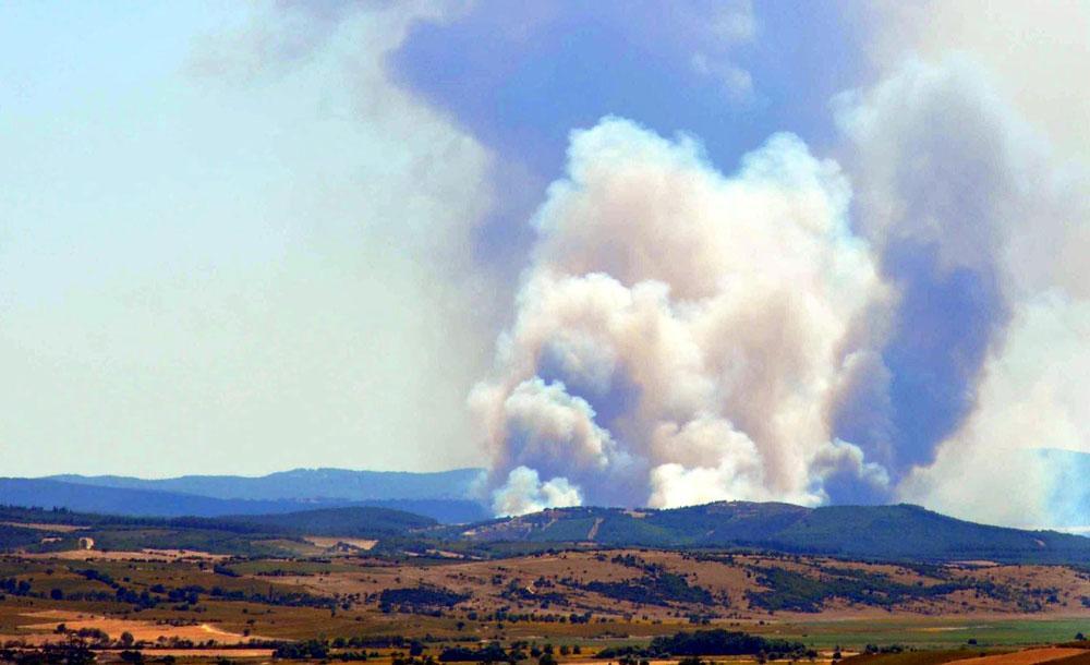 Edirne ve Balıkesir'de yangın! Havadan ve karadan müdahale ediliyor 6 edirne ve balikesirde yangin havadan ve karadan mudahale ediliyor 4 2seKWNaz