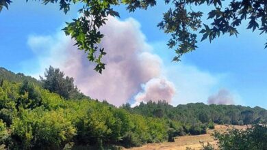 edirne ve balikesirde yangin havadan ve karadan mudahale ediliyor 6IS7BuYf