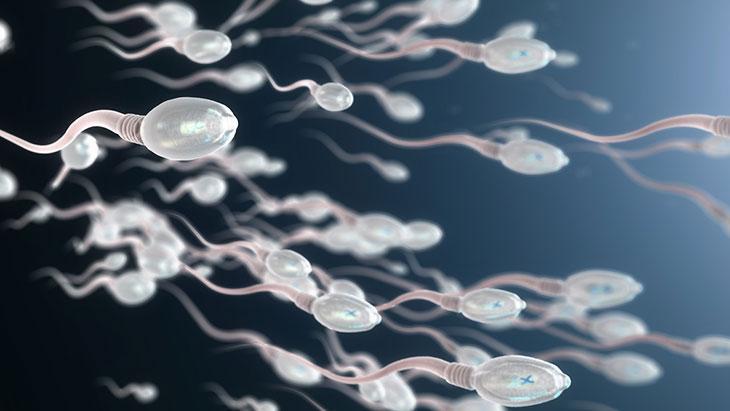 Erkeklerde sperm sayısı yüzde 50 azaldı! Bu teklifler baba olma ihtimalini artırıyor 5 erkeklerde sperm sayisi yuzde 50 azaldi bu teklifler baba olma ihtimalini artiriyor 3 fDSrdQp2