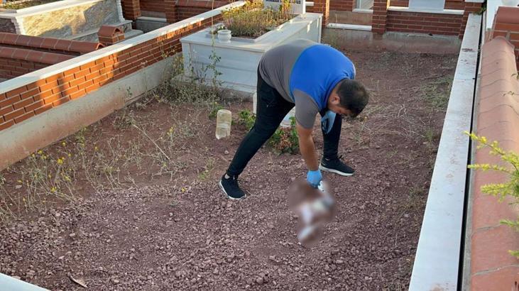 Eskişehir'de mezarlıkta müthiş olay! Bezi açan grupların kanı dondu 4 eskisehirde mezarlikta muthis olay bezi acan gruplarin kani dondu 2 PFvgby8a