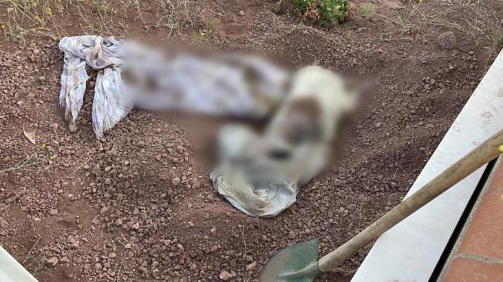 Eskişehir'de mezarlıkta müthiş olay! Bezi açan grupların kanı dondu 1 eskisehirde mezarlikta muthis olay bezi acan gruplarin kani dondu RiVqMqyW