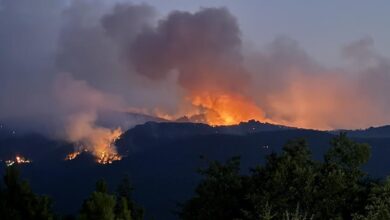 eskisehirdeki orman yangininda yaralananlarin sihhat durumuna ait aciklama kt2gnUgO