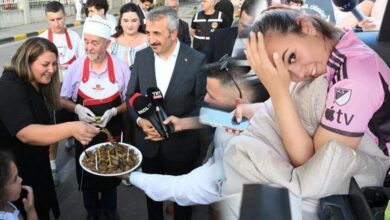 gurbetciler turkiyeye akin etti 1 haftada 180 bin kisi giris yapti Br3McOKf