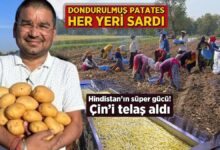 hindistanin ustun gucu dondurulmus patates her yeri sardi cini telas aldi s71IBTME