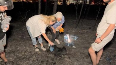 ibrahim tatlisesin eski esi aysegul yildiz yangin bolgesinde sondurme calismalarinda goruntulendi v3RbxsgU