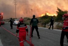 izmir valisi elbandan cesme yanginina ait aciklama V1gys8zF