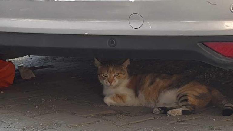 Kâğıthane’de faciadan dönüldü! 3 katlı binanın balkonu çöktü 3 k githanede faciadan donuldu 3 katli binanin balkonu coktu 1 iA328chh