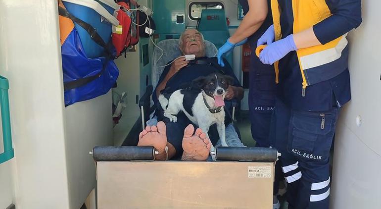 Köpeği, ırmağa düşen yaşlı adamın yanından bir an olsun ayrılmadı 2 kopegi irmaga dusen yasli adamin yanindan bir an olsun ayrilmadi 0 gbwREhZg