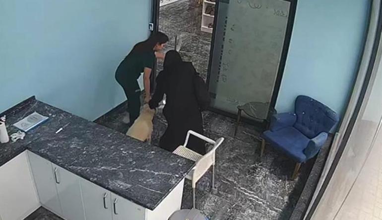 marmara sarsintisi esnasinda yurekli isitan goruntu tedavi ettigi kopegin yanina kostu 0