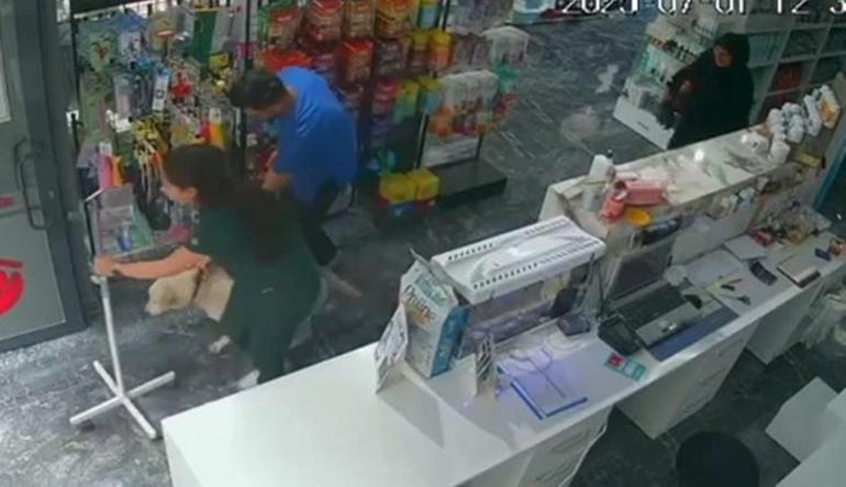marmara sarsintisi esnasinda yurekli isitan goruntu tedavi ettigi kopegin yanina kostu 2 6NiICfNJ