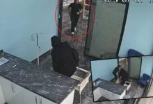 marmara sarsintisi esnasinda yurekli isitan goruntu tedavi ettigi kopegin yanina kostu DfhaarnI