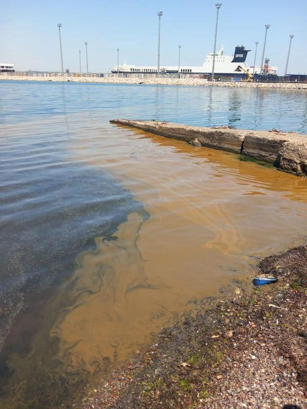 Marmara'daki fecî manzaranın akabinde harekete geçildi! Bir işletme inceleme başlatıldı 4 marmaradaki fec manzaranin akabinde harekete gecildi bir isletme inceleme baslatildi 2 WJDtFW9k