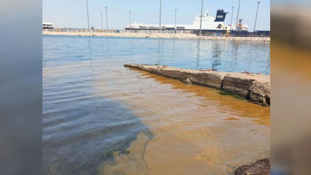 Marmara'daki fecî manzaranın akabinde harekete geçildi! Bir işletme inceleme başlatıldı 5 marmaradaki fec manzaranin akabinde harekete gecildi bir isletme inceleme baslatildi 3 SM7pe68H