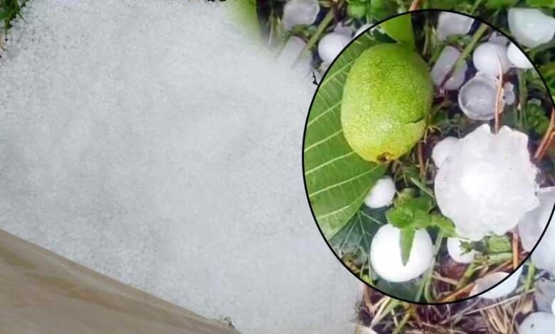 Mersin'i dolu vurdu! Ceviz büyüklüğündeki taneleri gören şoke oldu 1 mersini dolu vurdu ceviz buyuklugundeki taneleri goren soke oldu dOz9r3ww