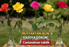 mutfaktan alin vazoya dokup karistirin 2 haftada gulleri canlandiran teknik 8hngjhwR