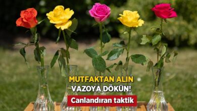 mutfaktan alin vazoya dokup karistirin 2 haftada gulleri canlandiran teknik 8hngjhwR