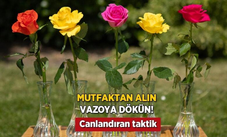 Mutfaktan alın, vazoya döküp karıştırın! 2 haftada gülleri canlandıran teknik 1 mutfaktan alin vazoya dokup karistirin 2 haftada gulleri canlandiran teknik 8hngjhwR