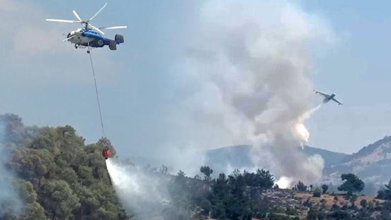 Orman yangınlarına götüren süreç! Çamdan oburu yaşamaz: 'Uçak gelip sarfiyat, şerit açın' 5 orman yanginlarina goturen surec camdan oburu yasamaz ucak gelip sarfiyat serit acin 3 4YwXmO1d