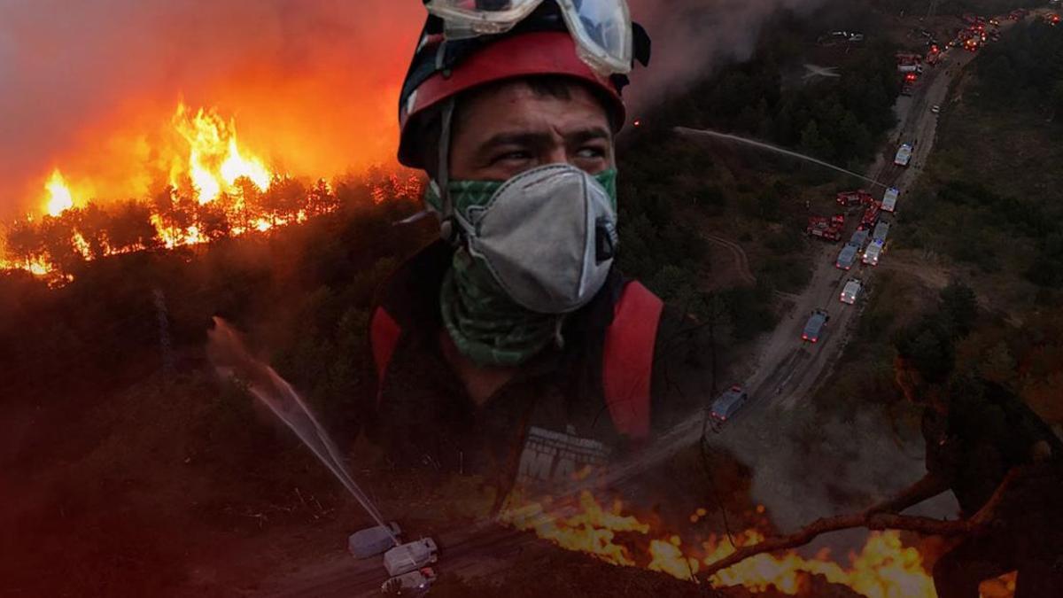 Orman yangınlarına götüren süreç! Çamdan oburu yaşamaz: ‘Uçak gelip sarfiyat, şerit açın’