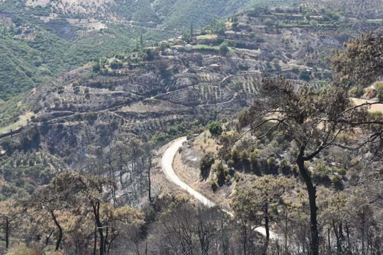 Ormanların yandığı alanlarda yeni tehlike: Bunu önlemek zorundayız 3 ormanlarin yandigi alanlarda yeni tehlike bunu onlemek zorundayiz 1 JgczKRU6
