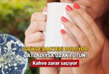 seramik kupaki catlaktan siziyor kahve keyfi zehir olmasin en l tahlil kalemlik zr3f93eN