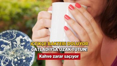 seramik kupaki catlaktan siziyor kahve keyfi zehir olmasin en l tahlil kalemlik zr3f93eN