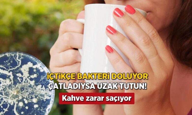 seramik kupaki catlaktan siziyor kahve keyfi zehir olmasin en l tahlil kalemlik zr3f93eN