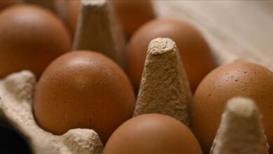 sofralik yumurta ihracatinda uygulanan fon kesintisi kaldirildi BsxRtHE4