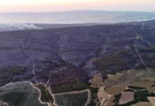 son dakika 2 mahallede onlem emelli tahliye edilmisti sarkoydeki orman yangininda son durum 4hDlzrs5