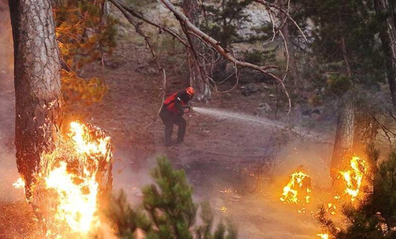 Son dakika... 3 vilayette orman yangını! Havadan ve karadan müdahale başladı 1 son dakika 3 vilayette orman yangini havadan ve karadan mudahale basladi qG9xWwtw