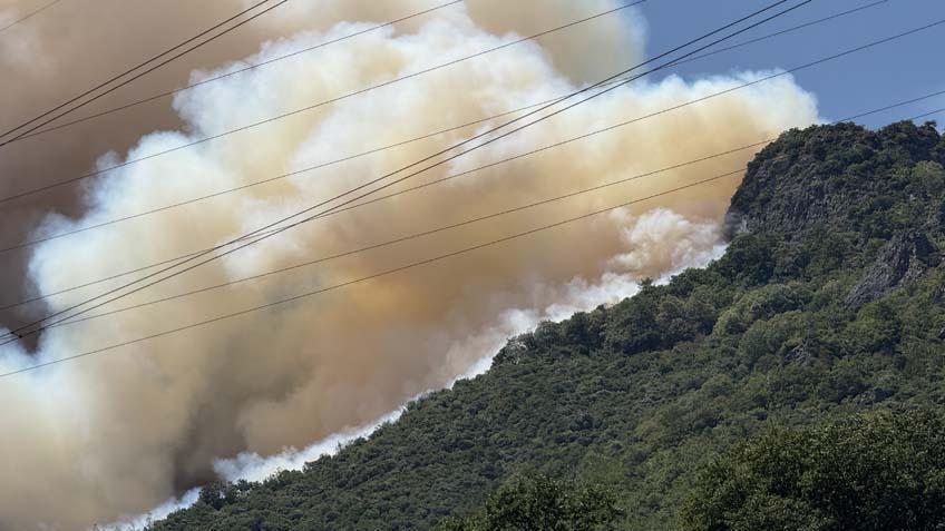 Son dakika... Bilecik'te denetim altına alınan yangın tekrar alevlendi 14 son dakika bilecikte denetim altina alinan yangin tekrar alevlendi 12 lvGIIThM