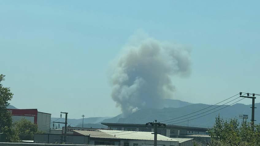 Son dakika... Bilecik'te denetim altına alınan yangın tekrar alevlendi 8 son dakika bilecikte denetim altina alinan yangin tekrar alevlendi 6