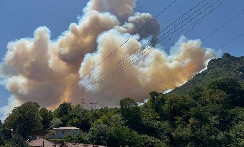 Son dakika... Bilecik'te denetim altına alınan yangın tekrar alevlendi 1 son dakika bilecikte denetim altina alinan yangin tekrar alevlendi jcdDk9h8
