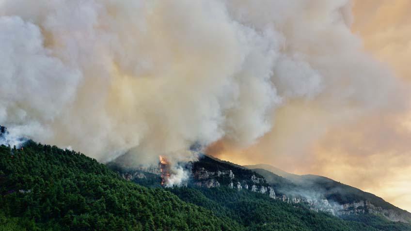 Son dakika... Ciğerlerimiz yanıyor! Bursa'da alevler yerleşim yerlerine yaklaştı 16 son dakika cigerlerimiz yaniyor bursada alevler yerlesim yerlerine yaklasti 14 9Cet6nES