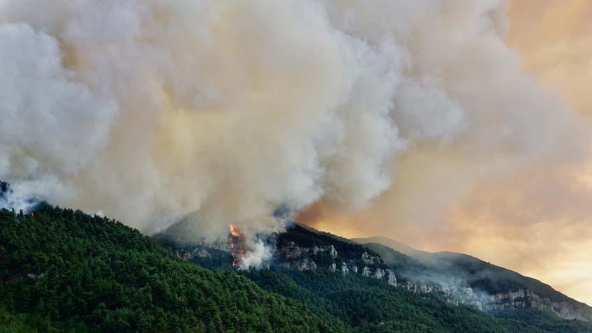 Son dakika... Ciğerlerimiz yanıyor! Bursa'da alevler yerleşim yerlerine yaklaştı 18 son dakika cigerlerimiz yaniyor bursada alevler yerlesim yerlerine yaklasti 16 C94MnECI